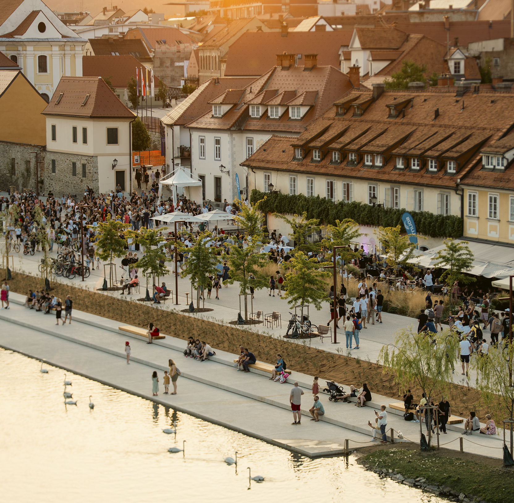 Vinsko LENTanje v času Festivala Lent